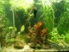 2013101123325100.jpg