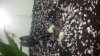IMG-20131019-WA0008.jpg