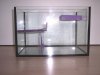 k100_6316.jpg