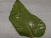 Blatt unten.jpg