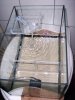 k100_6351.jpg