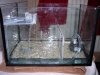 k100_6354.jpg
