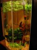 Aquarien 035.jpg