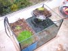 k100_6368.jpg