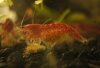 IMG_0731_small.jpg