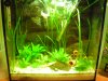 30L Becken.JPG