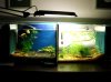 080204 014.jpg