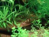 DSC01583.JPG
