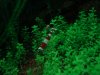 DSC01640.JPG
