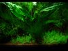 DSC01650.JPG