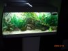 DhD24 030.jpg