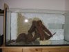 IMG_0749_small.jpg