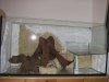 IMG_0759_small.jpg