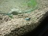 2013-10-26 13.49.32.jpg