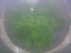 20131029_185736.jpg