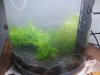 20131029_185828.jpg