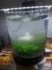 20131029_185839.jpg