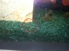 20131013_084128.jpg