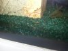 20131013_084252.jpg