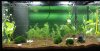 Aquarium-tag1.jpg