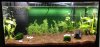 Aquarium-tag2.jpg