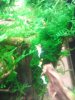 2013-11-23 12.22.56.jpg
