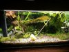 20131128_210039.jpg
