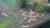 IMG_0524 - Kopie.JPG