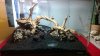 WP_20131203_013.jpg