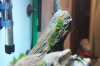 IMG_3321-vert.jpg