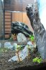 IMG_3328-vert.jpg