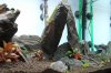 IMG_3341-vert.jpg