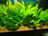 20131103_185415.jpg