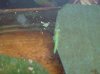 DSC03556.JPG