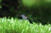 k-IMG_0795.JPG