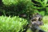 k-IMG_0818.JPG