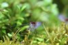 k-IMG_0833.JPG