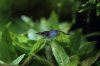 k-IMG_0855.JPG