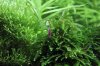 k-IMG_0879.JPG