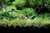 k-IMG_0891.JPG