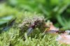 k-IMG_0916.JPG