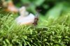 k-IMG_0920.JPG