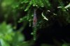 k-IMG_0922.JPG