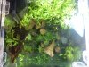 DSC00239.jpg
