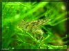 comp_IMG_1657_r.jpg
