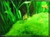 comp_IMG_1628_r.jpg