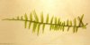 A3.jpg