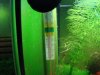Thermometer1.JPG