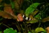 Schnecke1.JPG