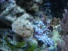 DSC04648.JPG